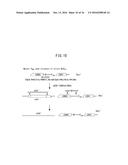 Yeast Having Enhanced Xylose Fermentation Ability, and Use Therefor diagram and image