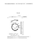 Yeast Having Enhanced Xylose Fermentation Ability, and Use Therefor diagram and image