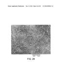 PROCESSING BIOMASS AND PETROLEUM CONTAINING MATERIALS diagram and image