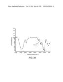 PROCESSING BIOMASS AND PETROLEUM CONTAINING MATERIALS diagram and image