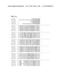 THERMOPHILIC AND THERMOACIDOPHILIC BIOPOLYMER-DEGRADING GENES AND ENZYMES     FROM ALICYCLOBACILLUS ACIDOCALDARIUS AND RELATED ORGANISMS, METHODS diagram and image