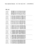 THERMOPHILIC AND THERMOACIDOPHILIC BIOPOLYMER-DEGRADING GENES AND ENZYMES     FROM ALICYCLOBACILLUS ACIDOCALDARIUS AND RELATED ORGANISMS, METHODS diagram and image