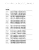 THERMOPHILIC AND THERMOACIDOPHILIC BIOPOLYMER-DEGRADING GENES AND ENZYMES     FROM ALICYCLOBACILLUS ACIDOCALDARIUS AND RELATED ORGANISMS, METHODS diagram and image