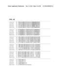 THERMOPHILIC AND THERMOACIDOPHILIC BIOPOLYMER-DEGRADING GENES AND ENZYMES     FROM ALICYCLOBACILLUS ACIDOCALDARIUS AND RELATED ORGANISMS, METHODS diagram and image