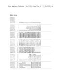 THERMOPHILIC AND THERMOACIDOPHILIC BIOPOLYMER-DEGRADING GENES AND ENZYMES     FROM ALICYCLOBACILLUS ACIDOCALDARIUS AND RELATED ORGANISMS, METHODS diagram and image