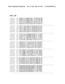 THERMOPHILIC AND THERMOACIDOPHILIC BIOPOLYMER-DEGRADING GENES AND ENZYMES     FROM ALICYCLOBACILLUS ACIDOCALDARIUS AND RELATED ORGANISMS, METHODS diagram and image