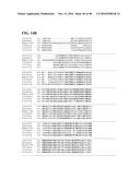 THERMOPHILIC AND THERMOACIDOPHILIC BIOPOLYMER-DEGRADING GENES AND ENZYMES     FROM ALICYCLOBACILLUS ACIDOCALDARIUS AND RELATED ORGANISMS, METHODS diagram and image