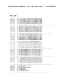 THERMOPHILIC AND THERMOACIDOPHILIC BIOPOLYMER-DEGRADING GENES AND ENZYMES     FROM ALICYCLOBACILLUS ACIDOCALDARIUS AND RELATED ORGANISMS, METHODS diagram and image