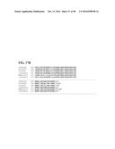 THERMOPHILIC AND THERMOACIDOPHILIC BIOPOLYMER-DEGRADING GENES AND ENZYMES     FROM ALICYCLOBACILLUS ACIDOCALDARIUS AND RELATED ORGANISMS, METHODS diagram and image