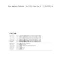 THERMOPHILIC AND THERMOACIDOPHILIC BIOPOLYMER-DEGRADING GENES AND ENZYMES     FROM ALICYCLOBACILLUS ACIDOCALDARIUS AND RELATED ORGANISMS, METHODS diagram and image