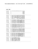 THERMOPHILIC AND THERMOACIDOPHILIC BIOPOLYMER-DEGRADING GENES AND ENZYMES     FROM ALICYCLOBACILLUS ACIDOCALDARIUS AND RELATED ORGANISMS, METHODS diagram and image