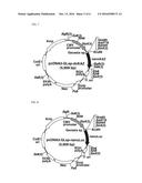 CODON-OPTIMIZED GENE FOR MUTATED SHRIMP LUCIFERASE AND METHOD FOR USE     THEREOF diagram and image