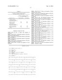 CODON-OPTIMIZED GENE FOR MUTATED SHRIMP LUCIFERASE AND METHOD FOR USE     THEREOF diagram and image