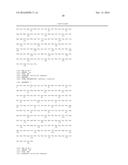 CODON-OPTIMIZED GENE FOR MUTATED SHRIMP LUCIFERASE AND METHOD FOR USE     THEREOF diagram and image