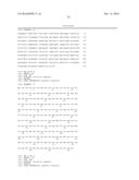 CODON-OPTIMIZED GENE FOR MUTATED SHRIMP LUCIFERASE AND METHOD FOR USE     THEREOF diagram and image