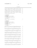 CODON-OPTIMIZED GENE FOR MUTATED SHRIMP LUCIFERASE AND METHOD FOR USE     THEREOF diagram and image