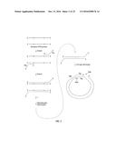 CLOSED NUCLEIC ACID STRUCTURES diagram and image