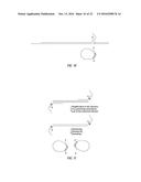 CLOSED NUCLEIC ACID STRUCTURES diagram and image