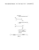 CLOSED NUCLEIC ACID STRUCTURES diagram and image