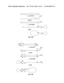 CLOSED NUCLEIC ACID STRUCTURES diagram and image