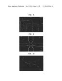 MULTIPLE LAMINAR FLOW-BASED PARTICLE AND CELLULAR SEPARATION WITH LASER     STEERING diagram and image