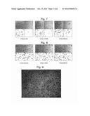 NDFEB SYSTEM SINTERED MAGNET diagram and image