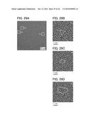 SEMICONDUCTOR DEVICE AND MANUFACTURING METHOD OF THE SAME diagram and image