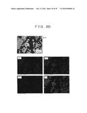 ROD SHAPED CRYSTAL OF SULFIDE COMPOUND SEMICONDUCTOR diagram and image