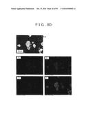 ROD SHAPED CRYSTAL OF SULFIDE COMPOUND SEMICONDUCTOR diagram and image