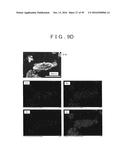 ROD SHAPED CRYSTAL OF SULFIDE COMPOUND SEMICONDUCTOR diagram and image