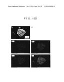 ROD SHAPED CRYSTAL OF SULFIDE COMPOUND SEMICONDUCTOR diagram and image