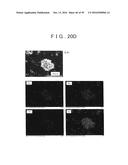 ROD SHAPED CRYSTAL OF SULFIDE COMPOUND SEMICONDUCTOR diagram and image