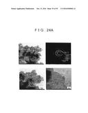 ROD SHAPED CRYSTAL OF SULFIDE COMPOUND SEMICONDUCTOR diagram and image