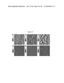 MOLECULAR SEMICONDUCTORS CONTAINING DIKETOPYRROLOPYRROLE AND     DITHIOKETOPYRROLOPYRROLE CHROMOPHORES FOR SMALL MOLECULE OR VAPOR     PROCESSED SOLAR CELLS diagram and image