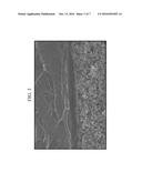 POLYMER ELECTROLYTE MEMBRANE FOR FUEL CELL AND MEMBRANE-ELECTRODE ASSEMBLY     FOR FUEL CELL INCLUDING SAME diagram and image