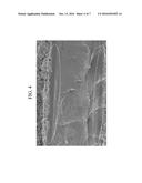 POLYMER ELECTROLYTE MEMBRANE FOR FUEL CELL AND MEMBRANE-ELECTRODE ASSEMBLY     FOR FUEL CELL INCLUDING SAME diagram and image