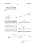 HETEROARYL COMPOUNDS AND USES THEREOF diagram and image