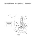 CONTROLLING ELECTRICAL STIMULATION BASED ON EVOKED COMPOUND MUSCLE ACTION     POTENTIAL diagram and image