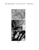 Edge Formability In Metallic Alloys diagram and image