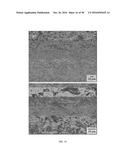 Edge Formability In Metallic Alloys diagram and image