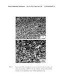 Edge Formability In Metallic Alloys diagram and image