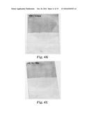 PROTECTIVE COATINGS AND METHODS OF MAKING AND USING THE SAME diagram and image