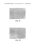 PROTECTIVE COATINGS AND METHODS OF MAKING AND USING THE SAME diagram and image