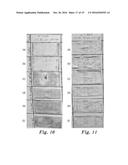 PROTECTIVE COATINGS AND METHODS OF MAKING AND USING THE SAME diagram and image