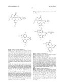 MACROCYCLIC DEAZA-PURINONES FOR THE TREATMENT OF VIRAL INFECTIONS diagram and image