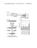 MITOCHONDRIAL GENOME EDITING diagram and image