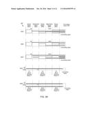 COMPLIANT MULTI-REGION ANGULAR DISPLACEMENT AND STRAIN SENSORS diagram and image