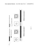 COMPLIANT MULTI-REGION ANGULAR DISPLACEMENT AND STRAIN SENSORS diagram and image