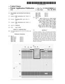 III-Nitride Transistor With Trench Gate diagram and image