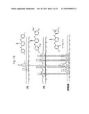 5-(5-(2,6-DIOXYPHENYL)TETRAZOLE CONTAINING POLYMER, MEMBRANE CONTAINING     THE SAME, ELECTROCHEMICAL DEVICE INCLUDING THE MEMBRANE AND METHOD FOR     PREPARING THE SAME diagram and image